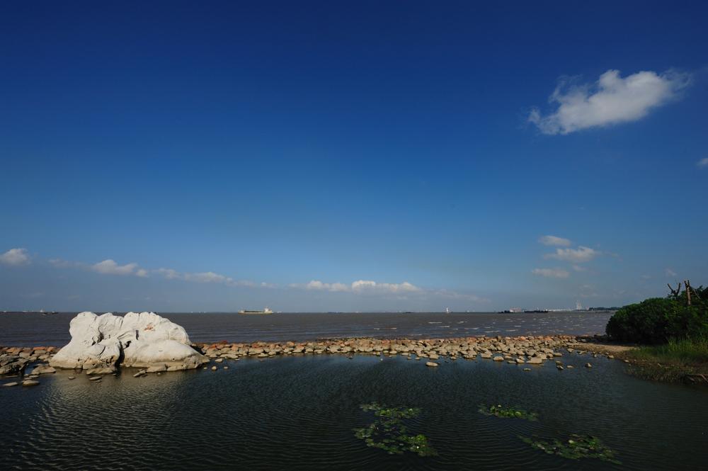 46公顷的吴淞炮台湾湿地森林公园位于 a target="_blank" href="