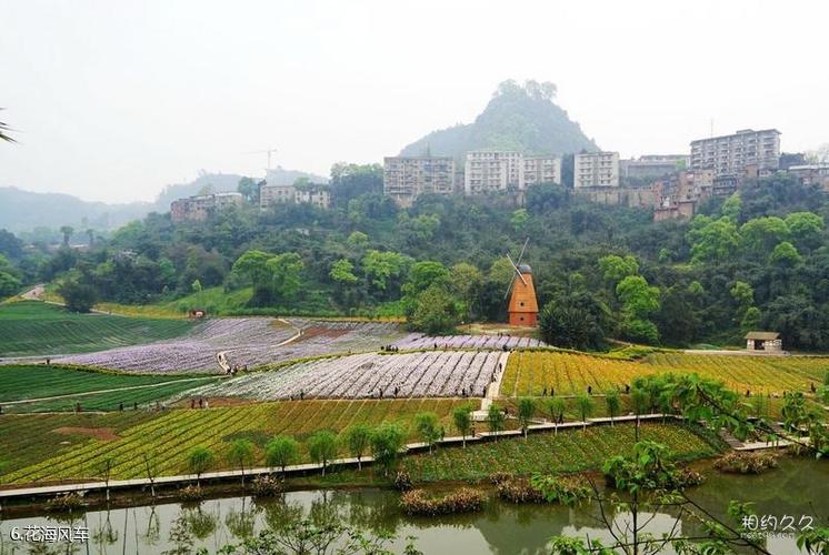 泸州纳溪花田酒地旅游景区旅游攻略 之 花海风车(6/共24页)