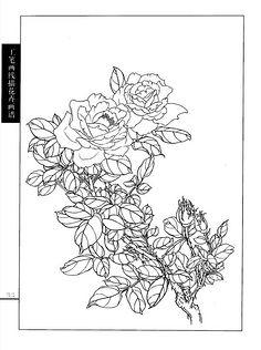 工笔画线描花卉画谱