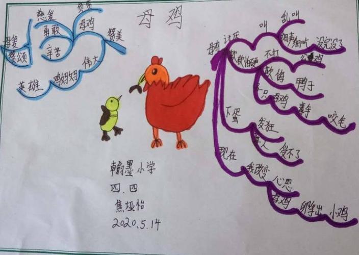 四年四班《母鸡》思维导图集