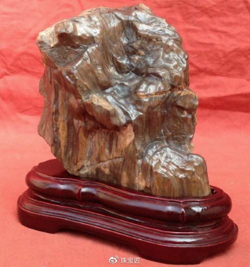 新疆硅化木,图源网络