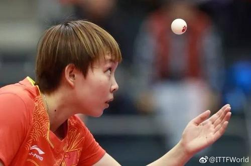 樊振东内战周雨,王曼昱再遇朱雨玲,德乒赛恶战连连!
