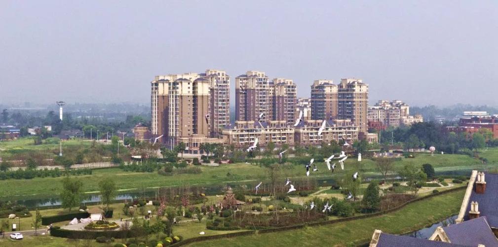 寿安镇蒲江县东部一座正在崛起的新城