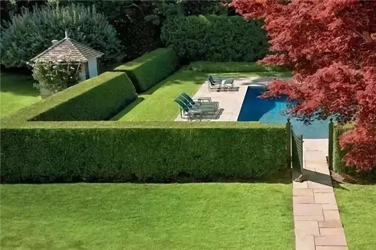 绿篱,在园林绿化中的应用