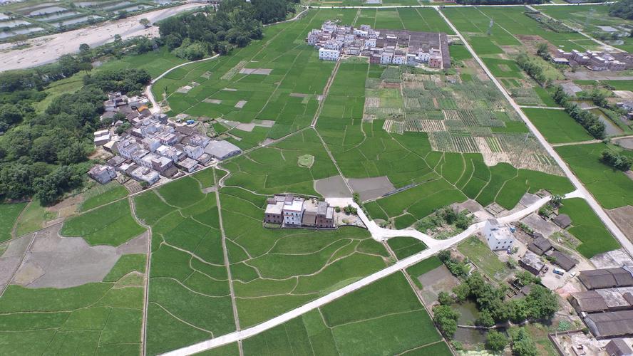 清远阳山太平镇榕树-美丽乡村-产品-大疆社区