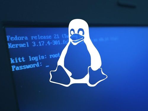 linux 系统开机启动项清理