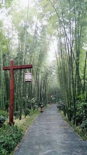 国家4a级景区,又有"万亩竹海"之称的南山竹海