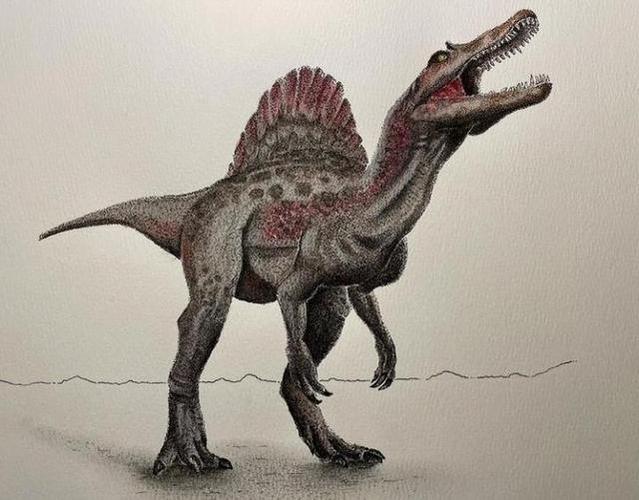 黑白 彩铅画的恐龙,你最喜欢第几张呢?