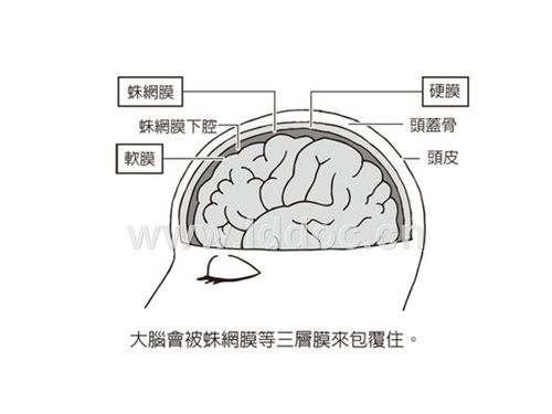 动脉瘤性蛛网膜下腔出血诊治.ppt