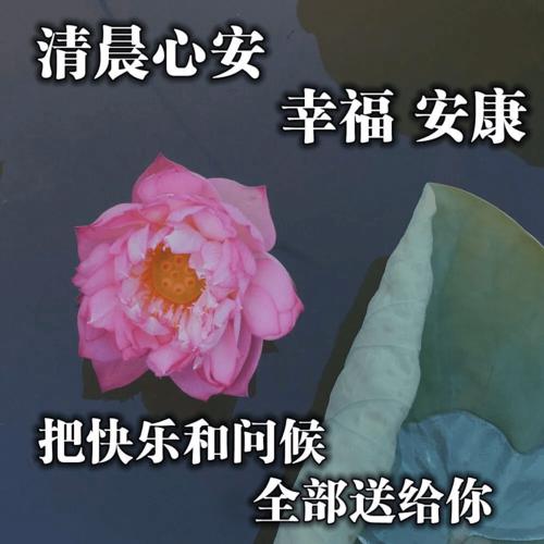 中老年表情包,人生百年相逢是缘,每日问候真情永远!