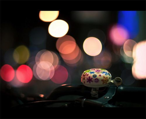大光圈小景深│大光圈摄影作品.