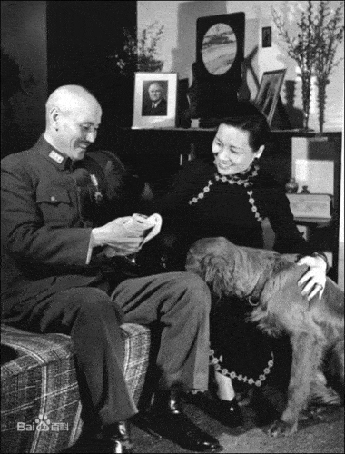 北伐建立大功,政治地位窜升之速度令人侧目,连汪精卫都有被其压制之势