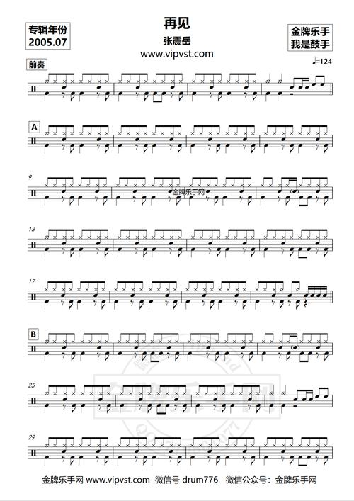 张震岳 - 再见 鼓谱(动态)15元