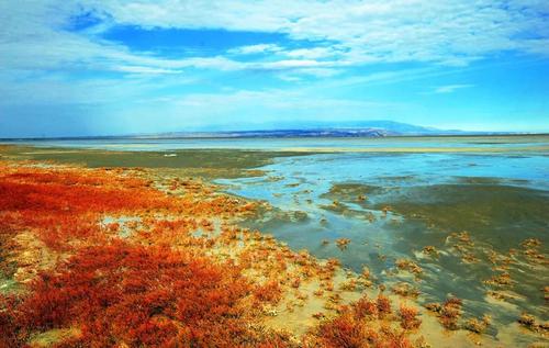 除此之外,艾比湖水含有30多种矿物质,是 "化工资源宝库".