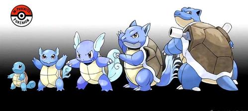 神奇宝贝:明明很期待杰尼龟能进化,长大后却因为丑放弃这种想法