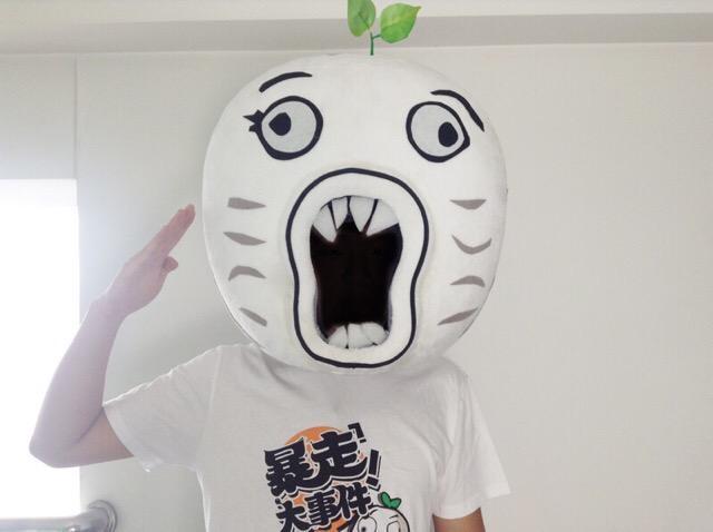 停更真相是什么?王尼玛霸气回应