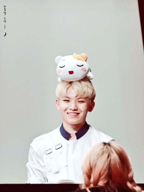 seventeen woozi李知勋