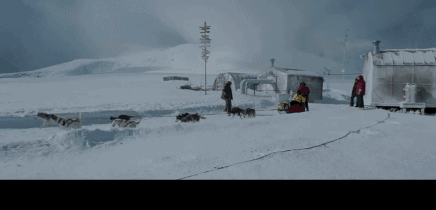于是,只能让狗来拉雪橇. 八只狗狗排排队,一起在雪地上狂奔,所组成