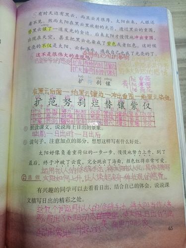 四年级下册语文笔记_日出_语文_教育_小学教育