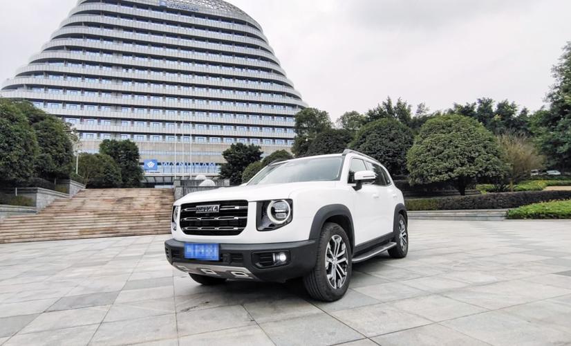 年轻人选择哈弗大狗的原因何在?油耗 配置,月销8555台!