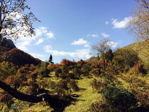 吐鲁沟国家森林公园