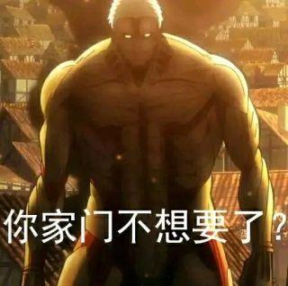 不懂就问为什么要迫害莱纳进击的巨人里的
