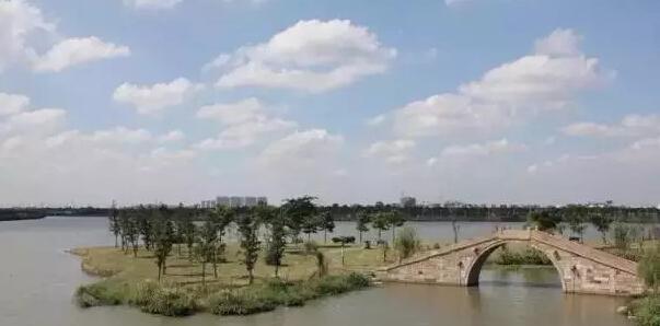 07宛山荡湿地公园