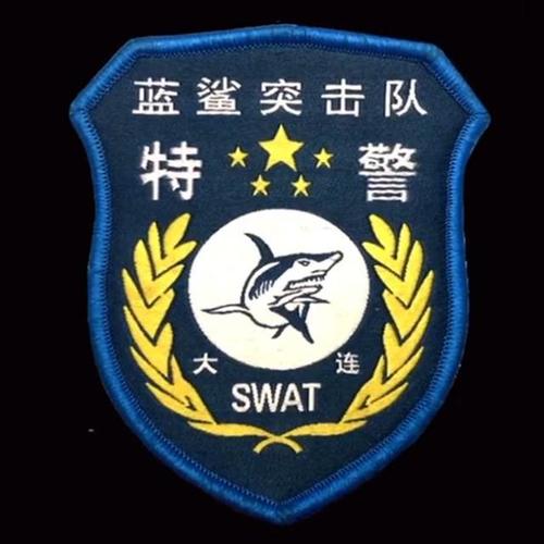 帅!全国公安特警标志臂章图集