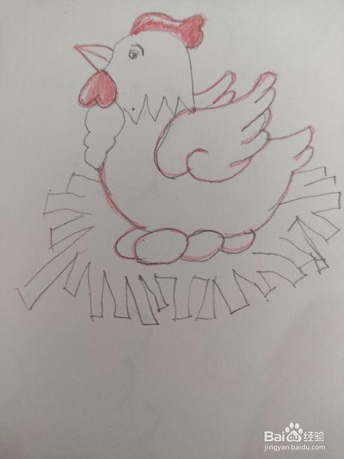 观察孵蛋简笔画