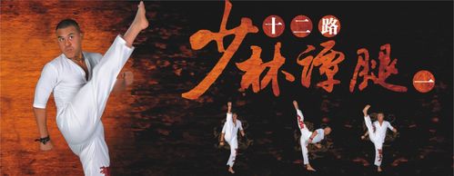 少林十二路谭腿01