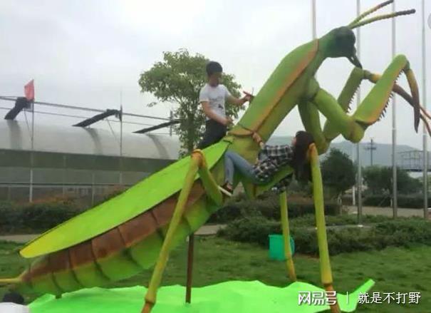 同重量的螳螂和老虎对战谁会赢网友镰刀3米长割虎如割草