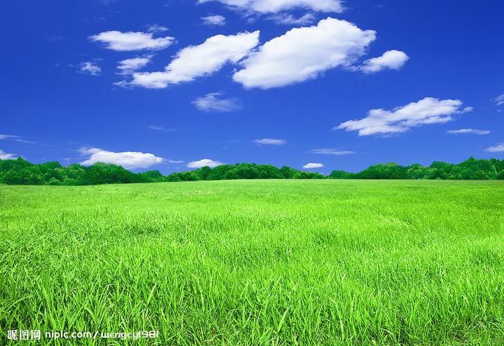 草地天空图片