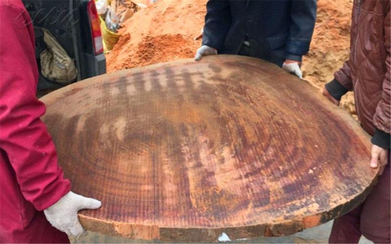 蚬木刚硬如铁,是做菜板的绝佳材料,如今已经不多了