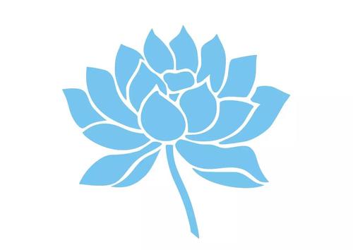 她的一朵蓝莲花美遍了全世界