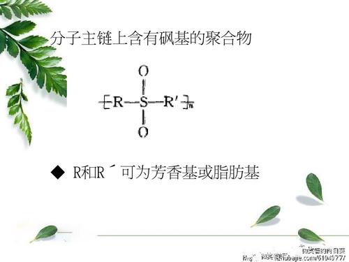 第三章8_聚砜类塑料ppt