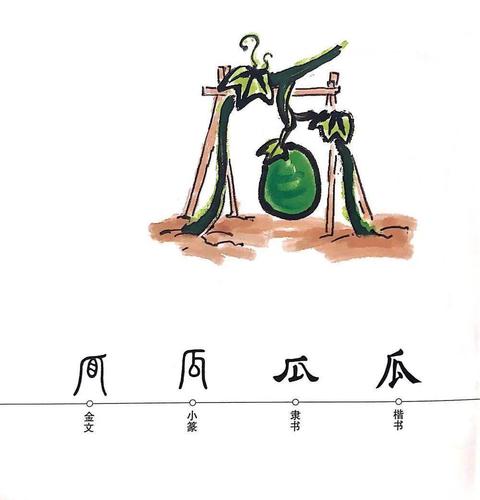 汉字娃娃图图姐姐带你了解汉字那些事儿瓜豆