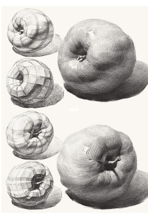 素描静物-素描苹果步骤_素描_投影_形体_成都南鹏文化