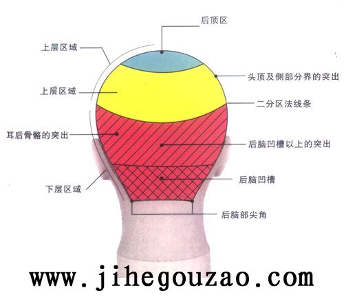 美发学校技术培训-二分区技术之头部重要点及区域特征