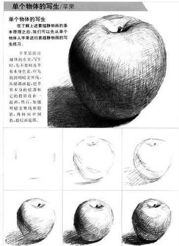 素描苹果怎么画