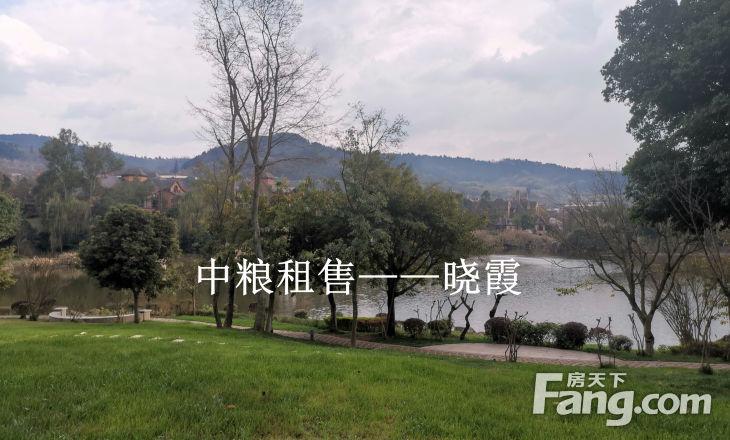 精装房独栋价格630万哦,成都龙泉驿阳光城中粮御岭湾