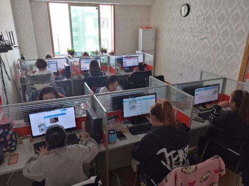 网络/在线客服_沈阳市苏家屯区乐乾诚商务网络工作室