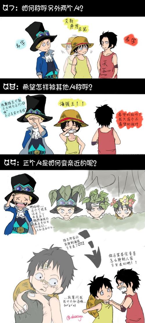 海贼王#路飞·艾斯·萨波