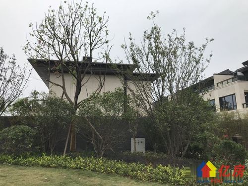 武汉院子独栋别墅,目前只有两套