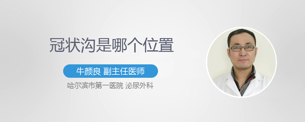 冠状沟是哪里