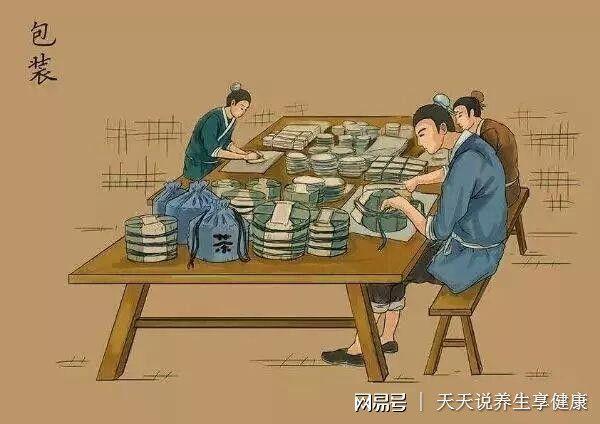 现代普洱茶制作加工工艺流程图