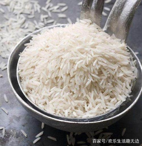 为什么印度大米会那么长?看完长见识了!