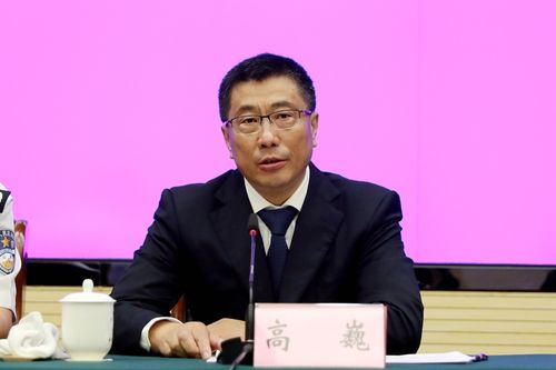 本溪市人民政府副市长高巍