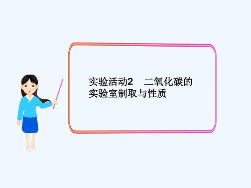 化学人教版九年级上册实验活动2二氧化碳的实验室制法与性质第一课时