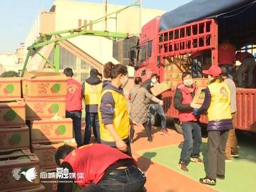 众人拾柴火焰高,抗"疫"一线,应城万名志愿者共同扛起这面旗