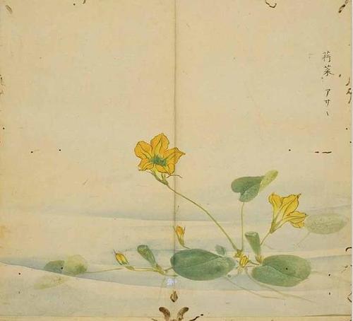 其主要内容为《诗经》辅配百余幅精美古画